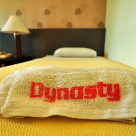 Dynasty Tourist Inn-3